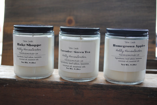 Tallow Candles